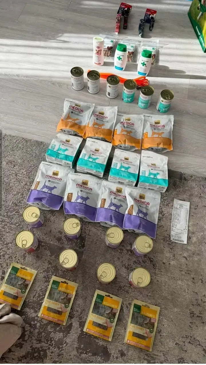 Zbiórka z Lemoniady