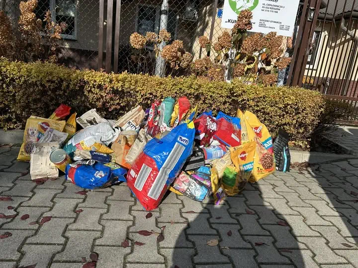 Przedszkole Akademia Dziecka w Rzeszowie