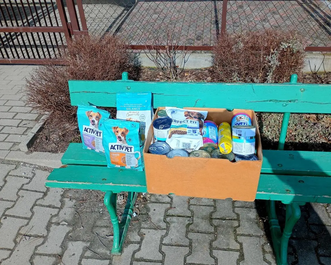 Dwujęzyczne Liceum Uniwersyteckie w Rzeszowie