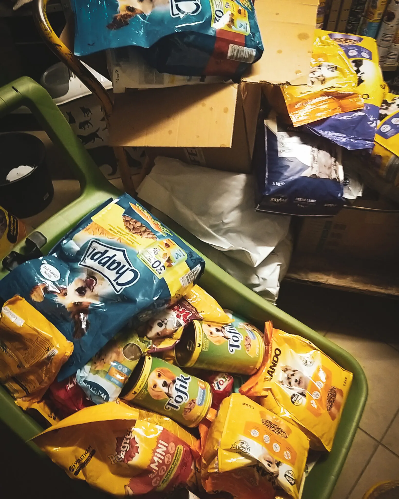 Szkoła Podstawowa w Głogowie Młp.