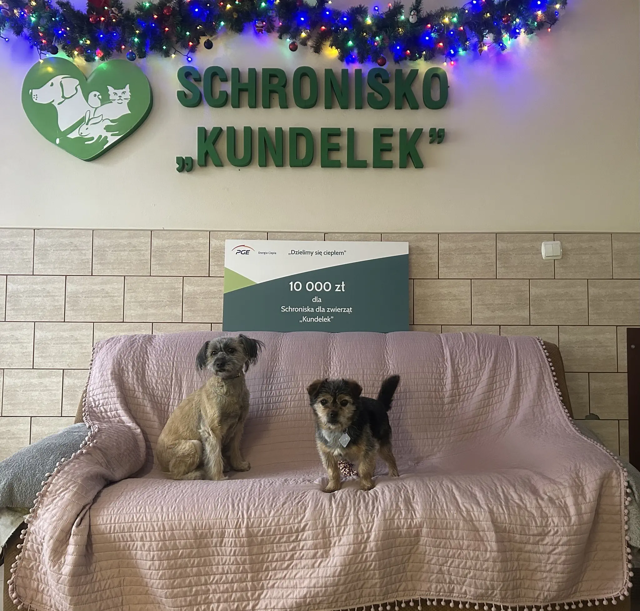 Dziękujemy Miejskiemu Przedsiębiorstwu Energetyki Cieplnej w Rzeszowie