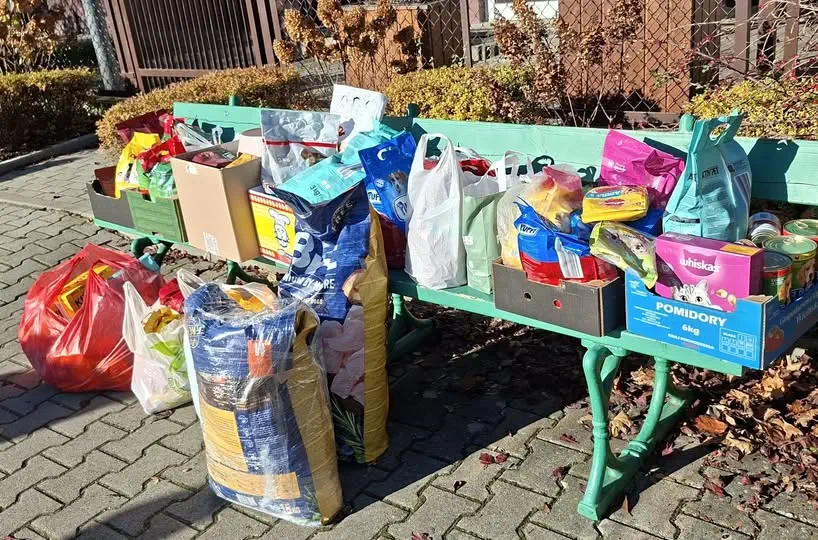 Punkt Przedszkolny, Oddział Przedszkolny i Szkoła Podstawowa im. gen. Władysława Sikorskiego w Hyżnem