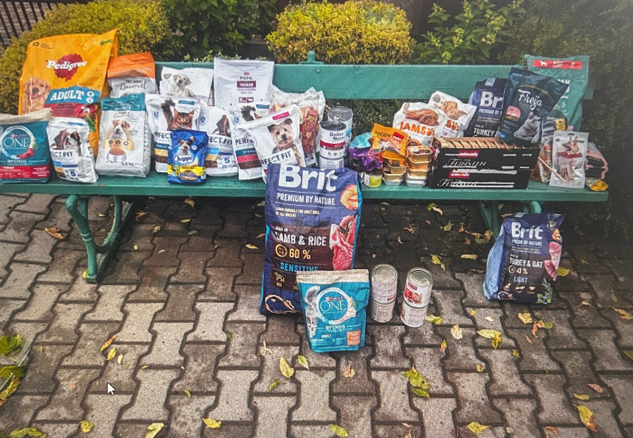 Weselnicy Państwa Góra i Szyszka