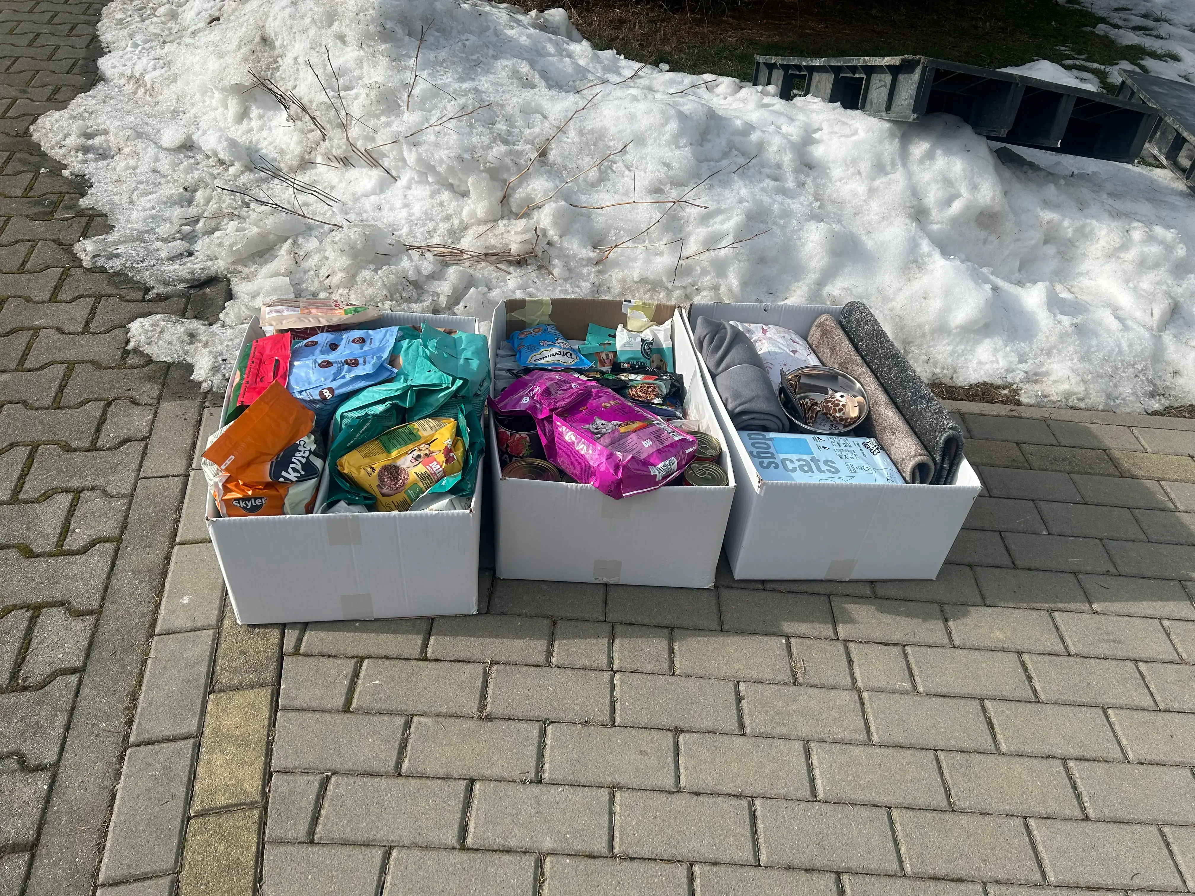 Szkoła Podstawowa w Nosówce