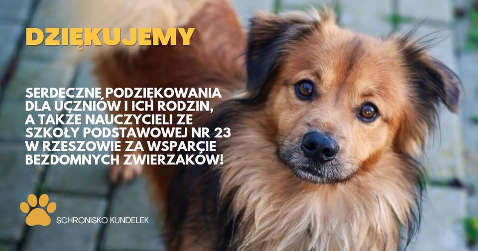 Szkoła Podstawowa nr 23 w Rzeszowie