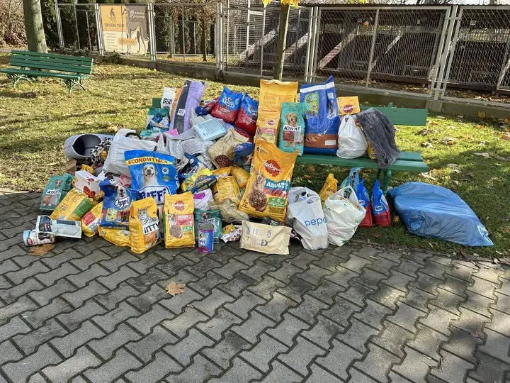 Szkoła Podstawowa nr 29 w Rzeszowie