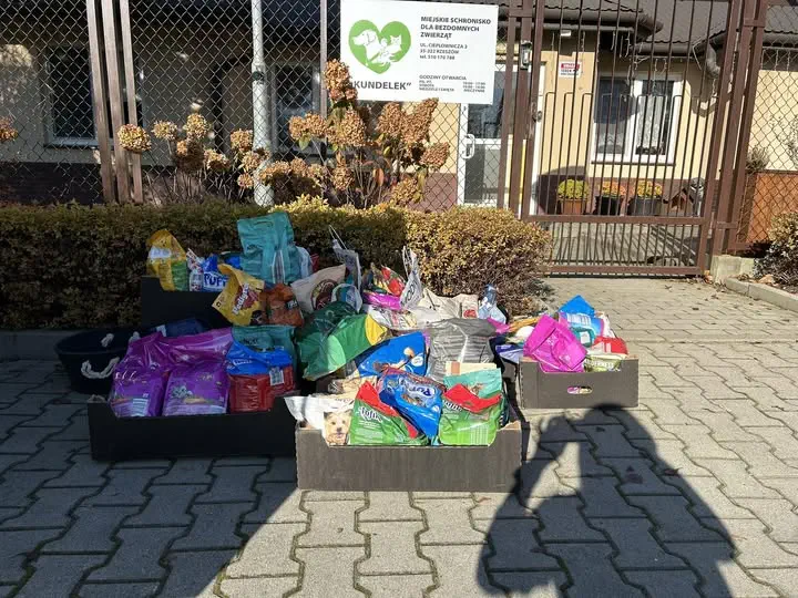 Szkoła Podstawowa nr 9 w Rzeszowie