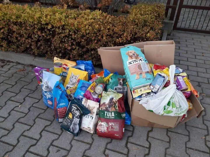 Szkoła Podstawowa w Wólce Grodziskiej