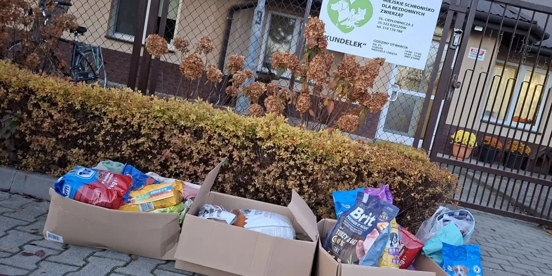 Publiczne Przedszkole przy Zespole Szkół w Zaczerniu