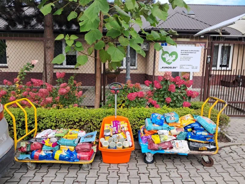 Zespół Szkół w Budach Głogowskich