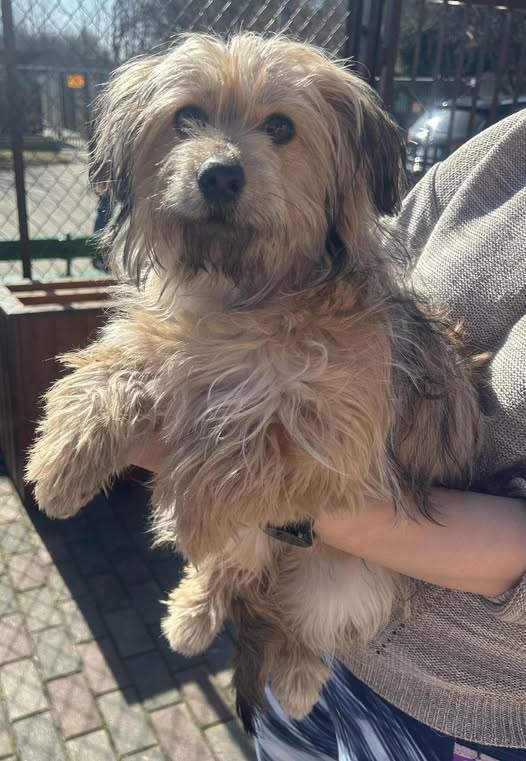 Suczka z ul. Technologicznej