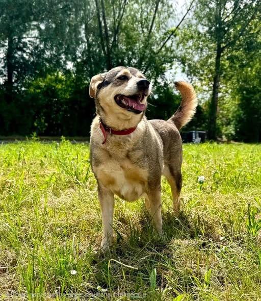 Nora